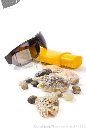 Image of shells, sunglasses and lotion
