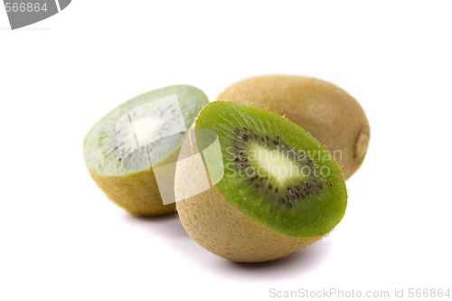 Image of some kiwi 