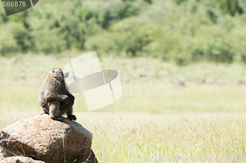 Image of thinker