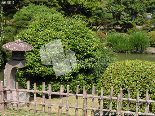 Image of Summer Japanese garden