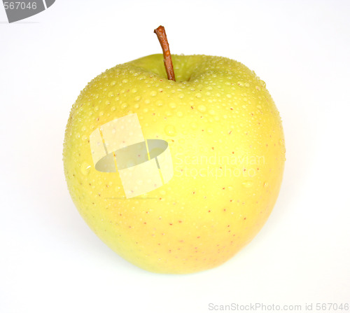 Image of Apple on white background