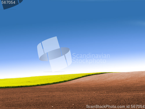 Image of Partly ploughed field with rape