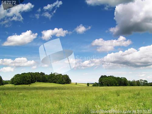 Image of Summer landscape