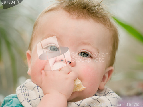 Image of Portrait of a cute young baby boy eating