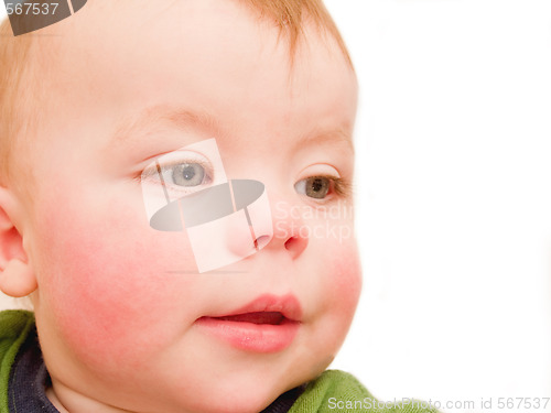 Image of Portrait of a cute baby boy isolated on white