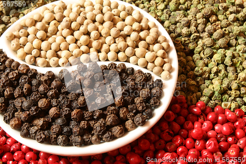 Image of Pepper.