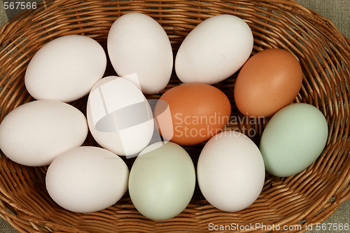Image of Eggs