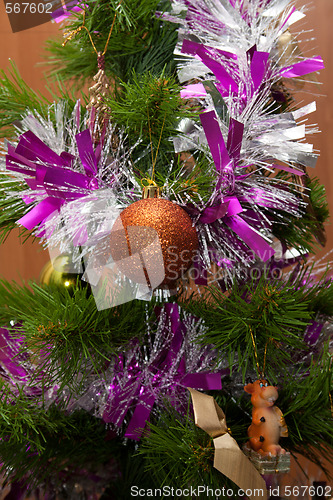 Image of Fir tree, cristmas