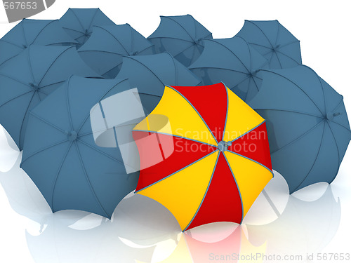 Image of Best umbrella