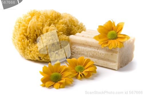 Image of natural sponge, soap and flowers
