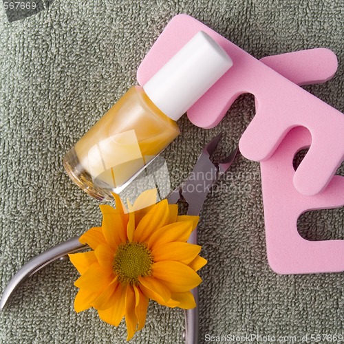 Image of pedicure beauty set ans flower