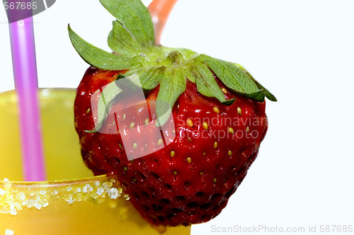 Image of Summer refreshment
