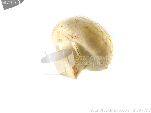 Image of fresh champignon 