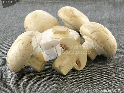 Image of fresh champignon 