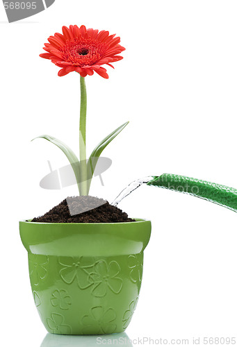 Image of gardening