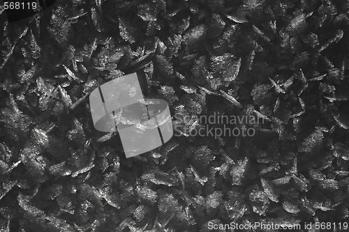 Image of Snow crystals