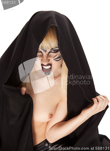 Image of Wild cat