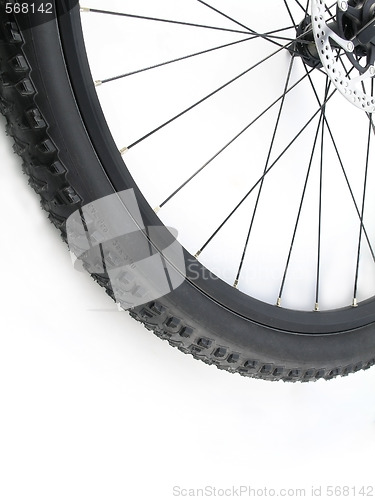 Image of Mountain bike tire