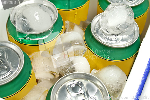 Image of Drinks Cooler