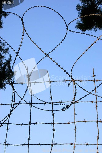 Image of Barbed wire