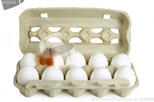 Image of Fresh Eggs