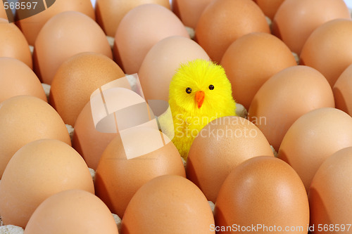 Image of Toy hen