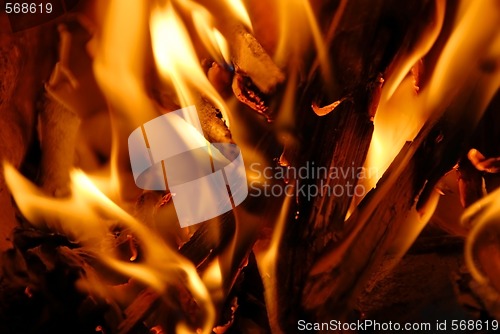 Image of Fire