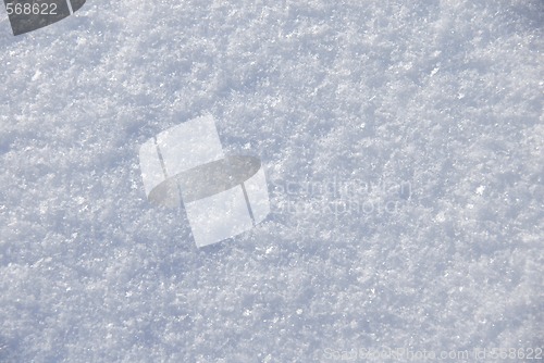 Image of Snow surface