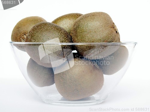 Image of kiwi