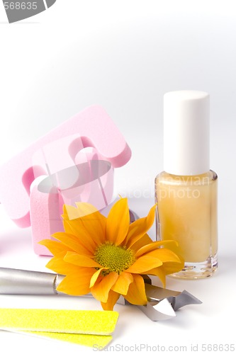 Image of pedicure beauty set
