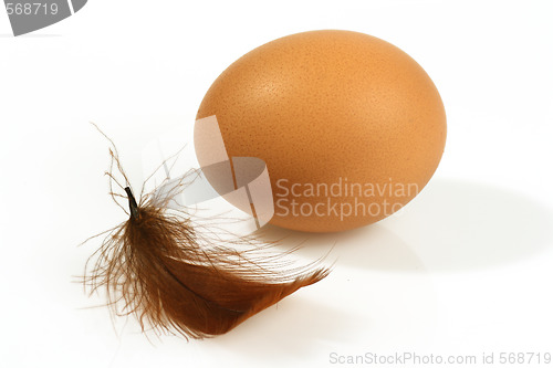 Image of Brown egg
