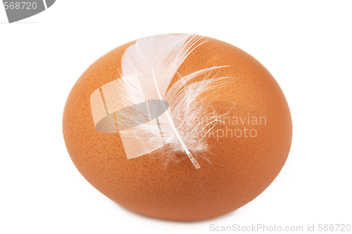 Image of Brown egg