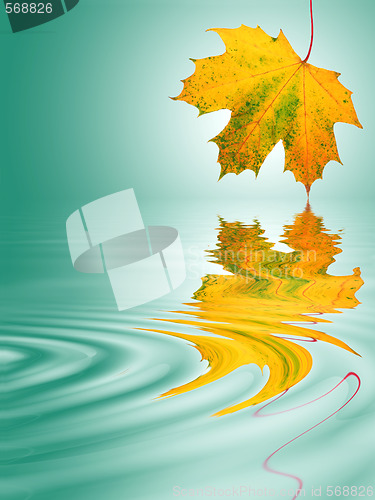 Image of Golden Leaf Movement