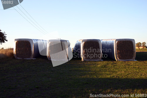 Image of straw balls