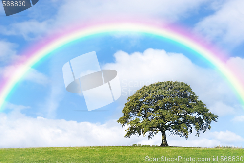 Image of Rainbow Day