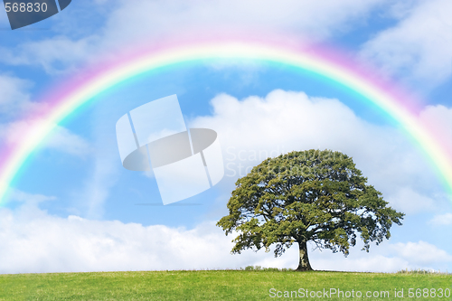 Image of Rainbow Day