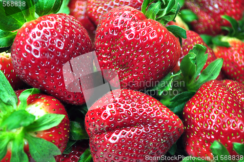 Image of Fresh strawberries