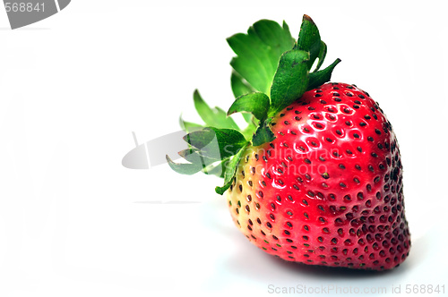 Image of Colorful strawberry