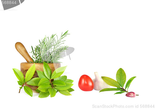 Image of Fresh Herbs, Tomato and Garlic