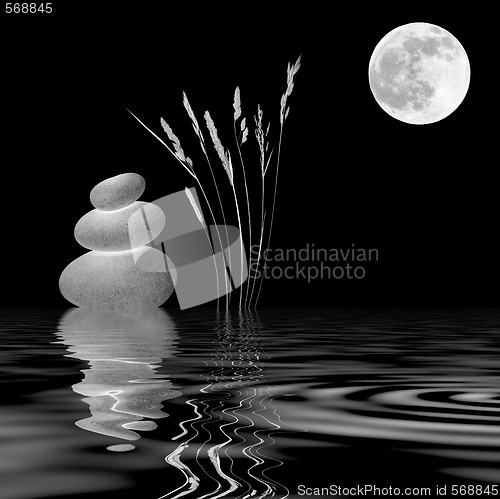 Image of Zen Moonlight