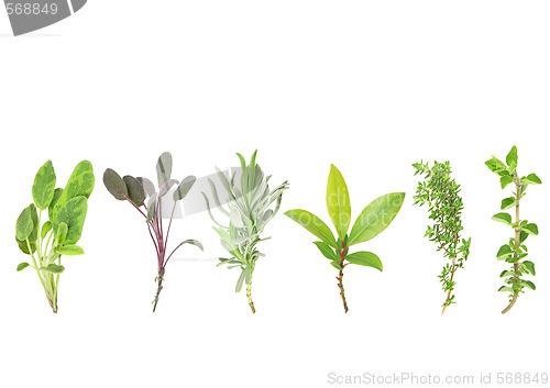 Image of Line of Herbs