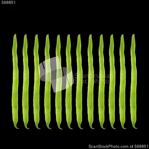 Image of Runner Bean Design