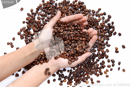 Image of Coffee beans in hands