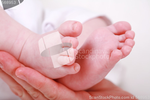 Image of Newborn