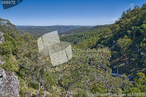 Image of looking out over the forests