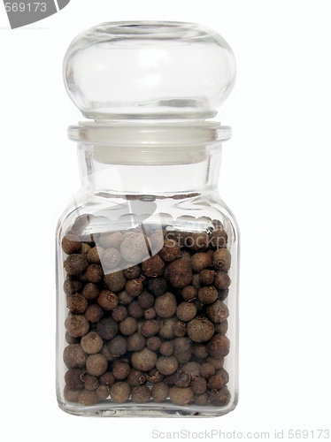 Image of allspice