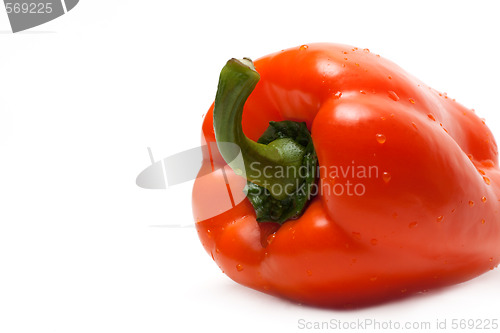 Image of Orange bulgarian pepper part five