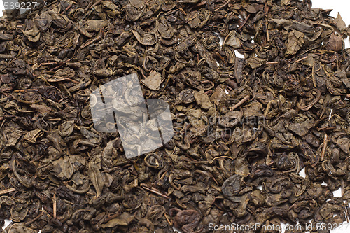 Image of Green tea, dry background