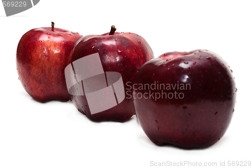 Image of Three red apples, in droplet grow insulated 
