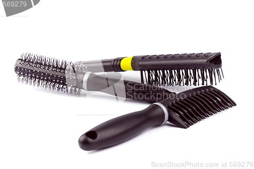 Image of three hairbrushes